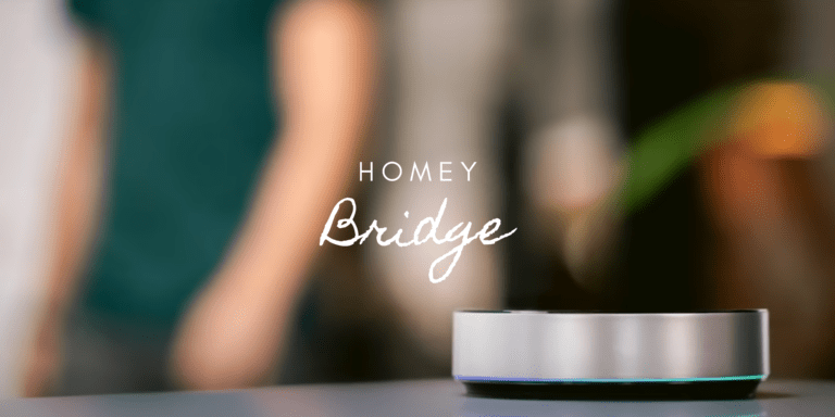 Review: Homey Bridge